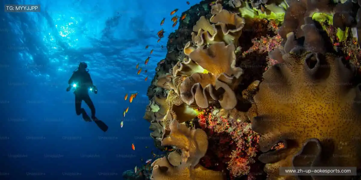 ⚽️ 每一脚都在书写传奇，